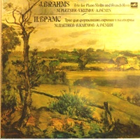 Melodiya : Pletnev - Brahms Trio